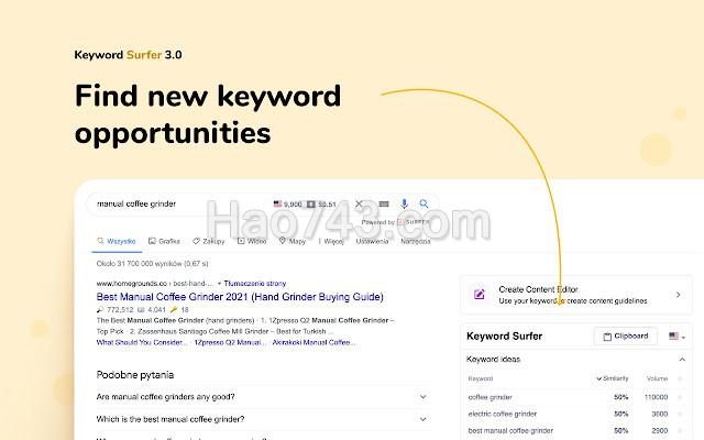 Keyword Surfer