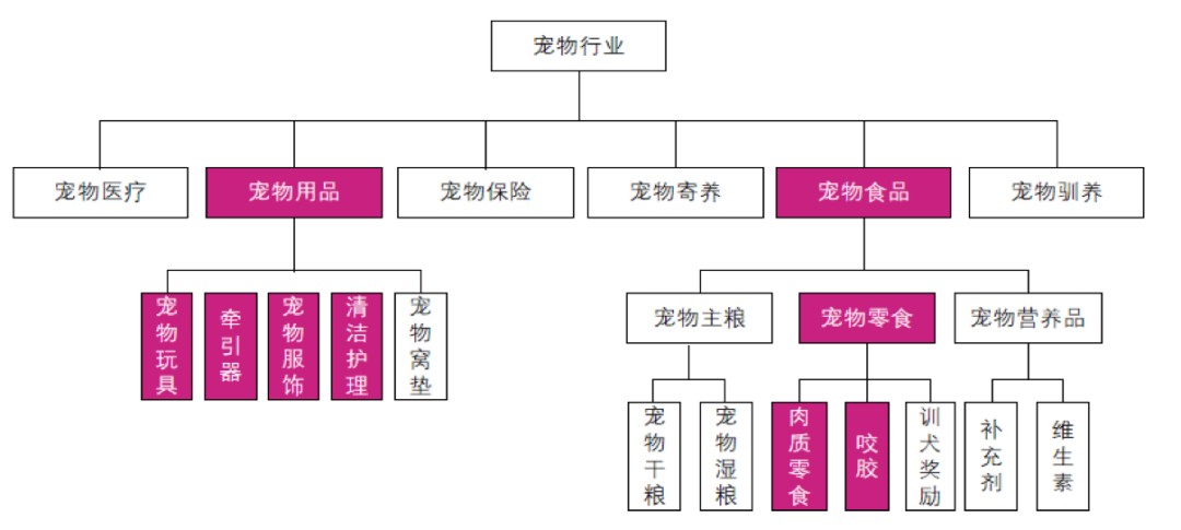 “出海宠物牵引绳第一股”源飞宠物交出上市后第一份季报